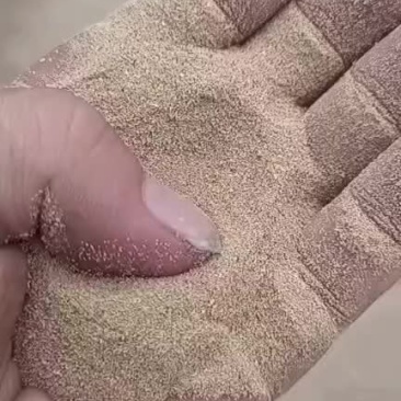 黄粉虫虫沙现货出，质量稳定可用于水产禽料猪料反