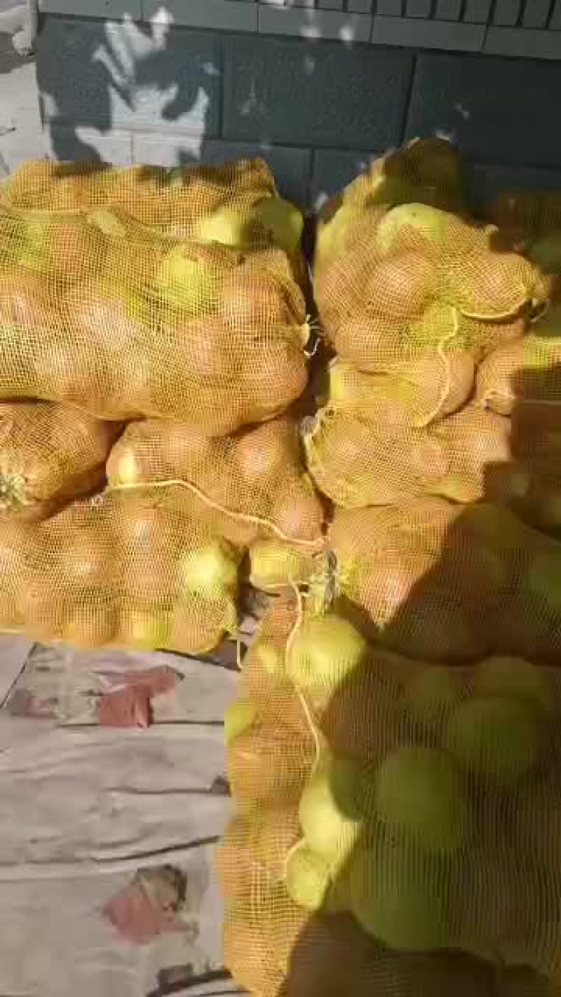 出售代收代存赵县大个雪花梨