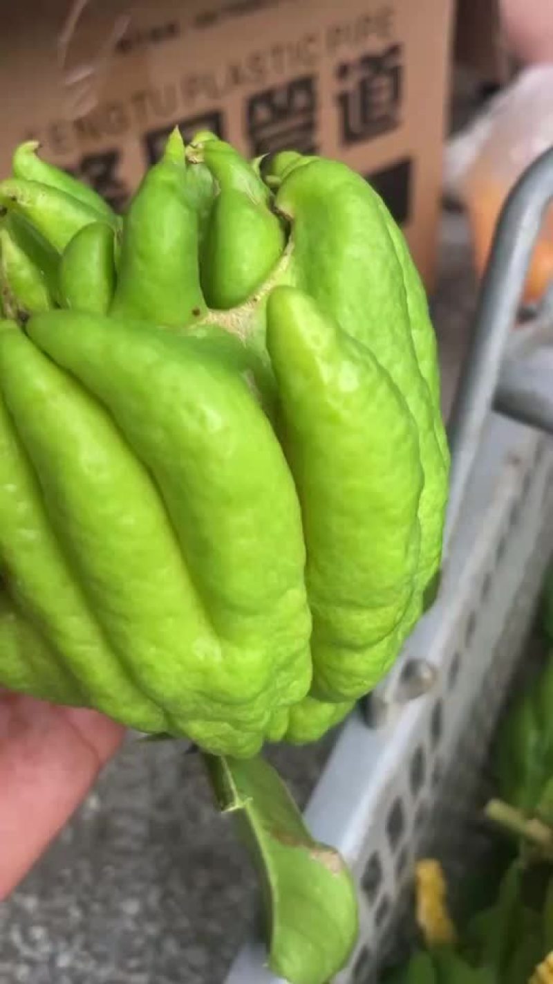 佛手柑鲜果，现采，现发