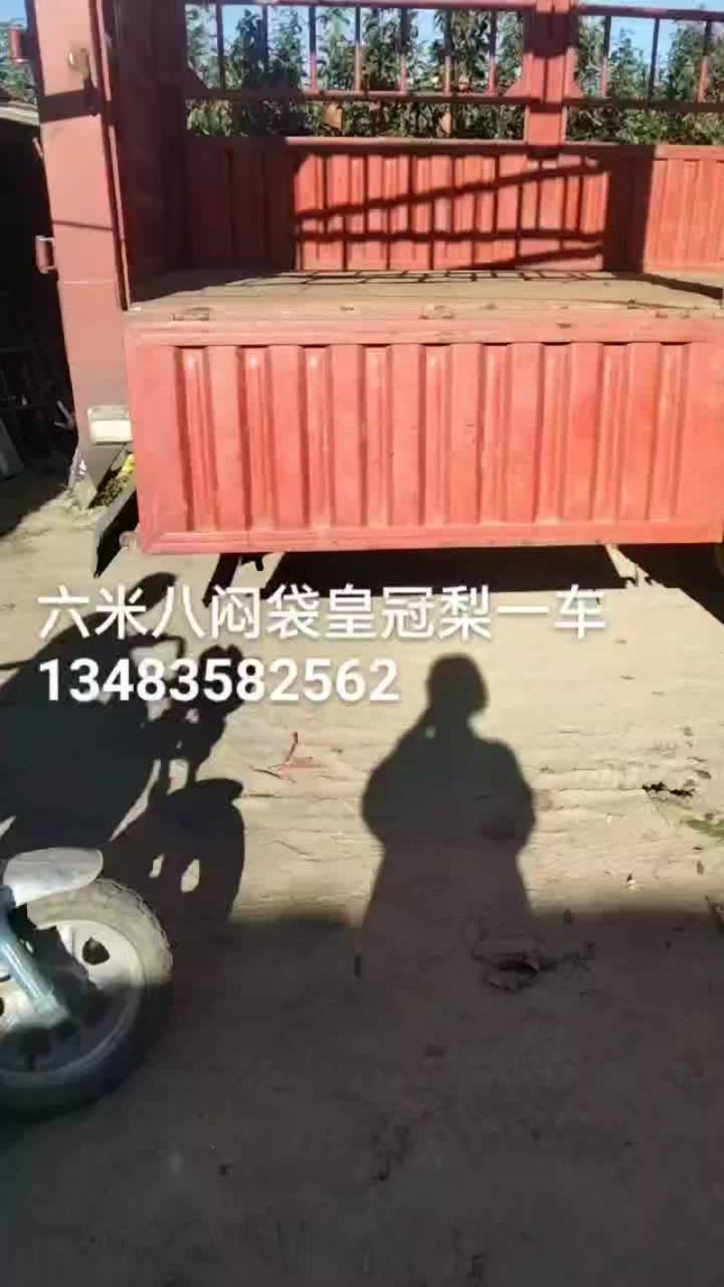 皇冠梨大量有货，正下树中欢迎全国客商朋友们恰谈