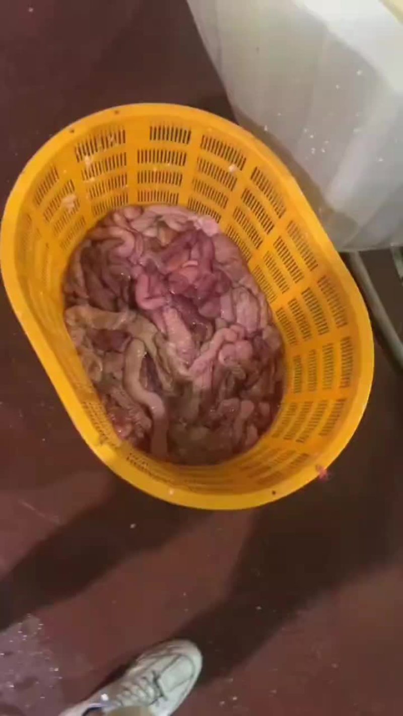预煮大肠鲜品冻品去油百分之90