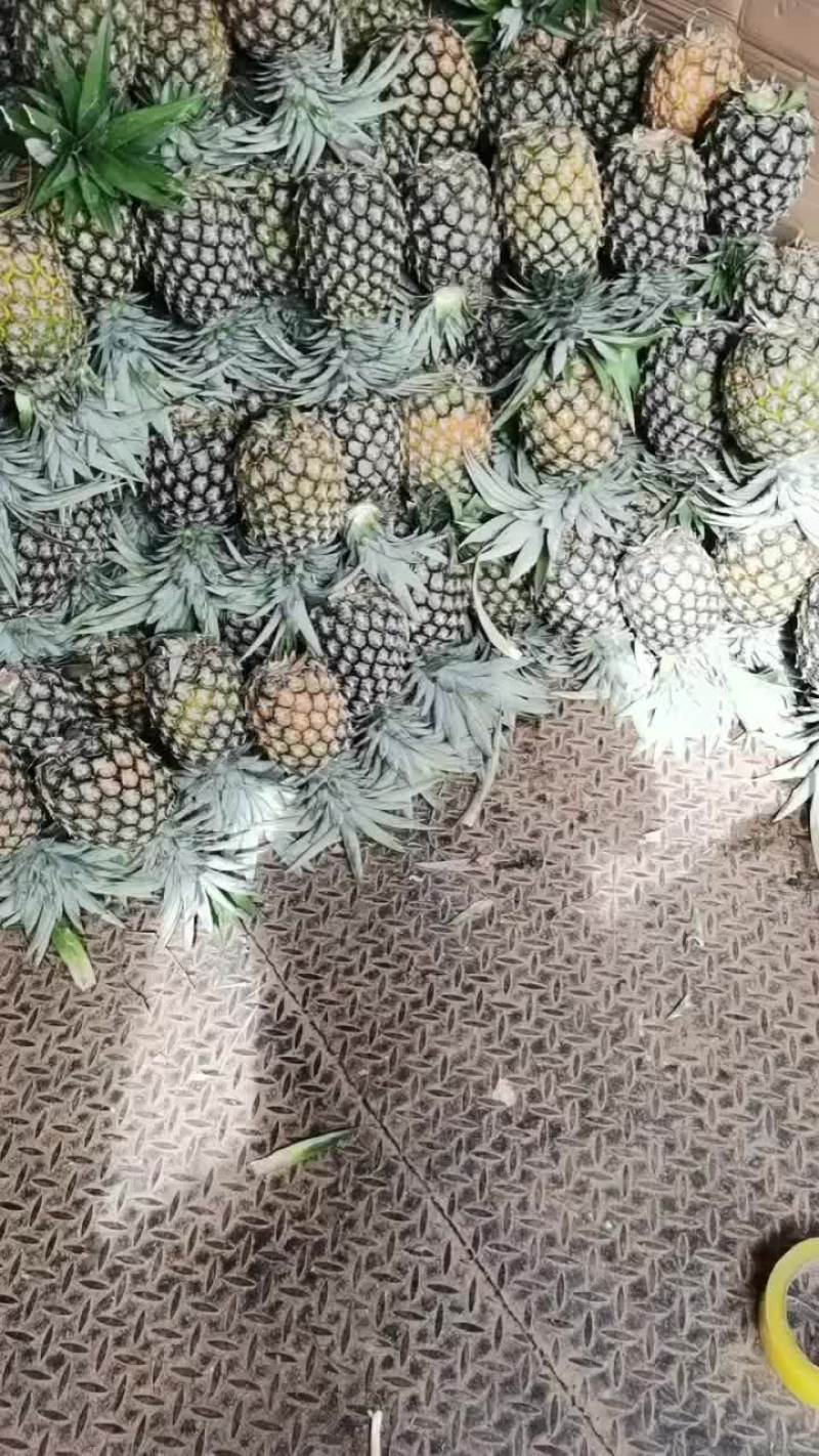 风梨