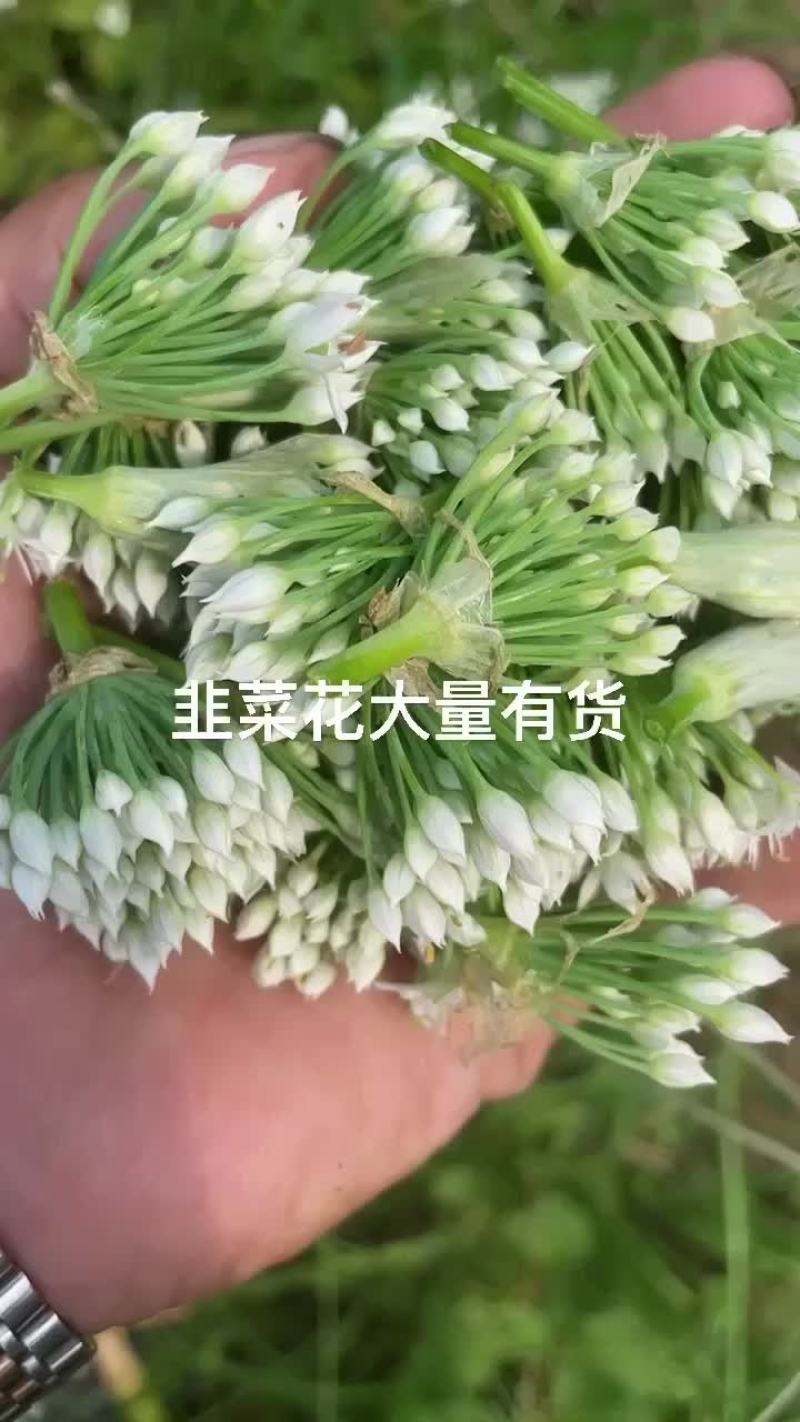 韭菜花
