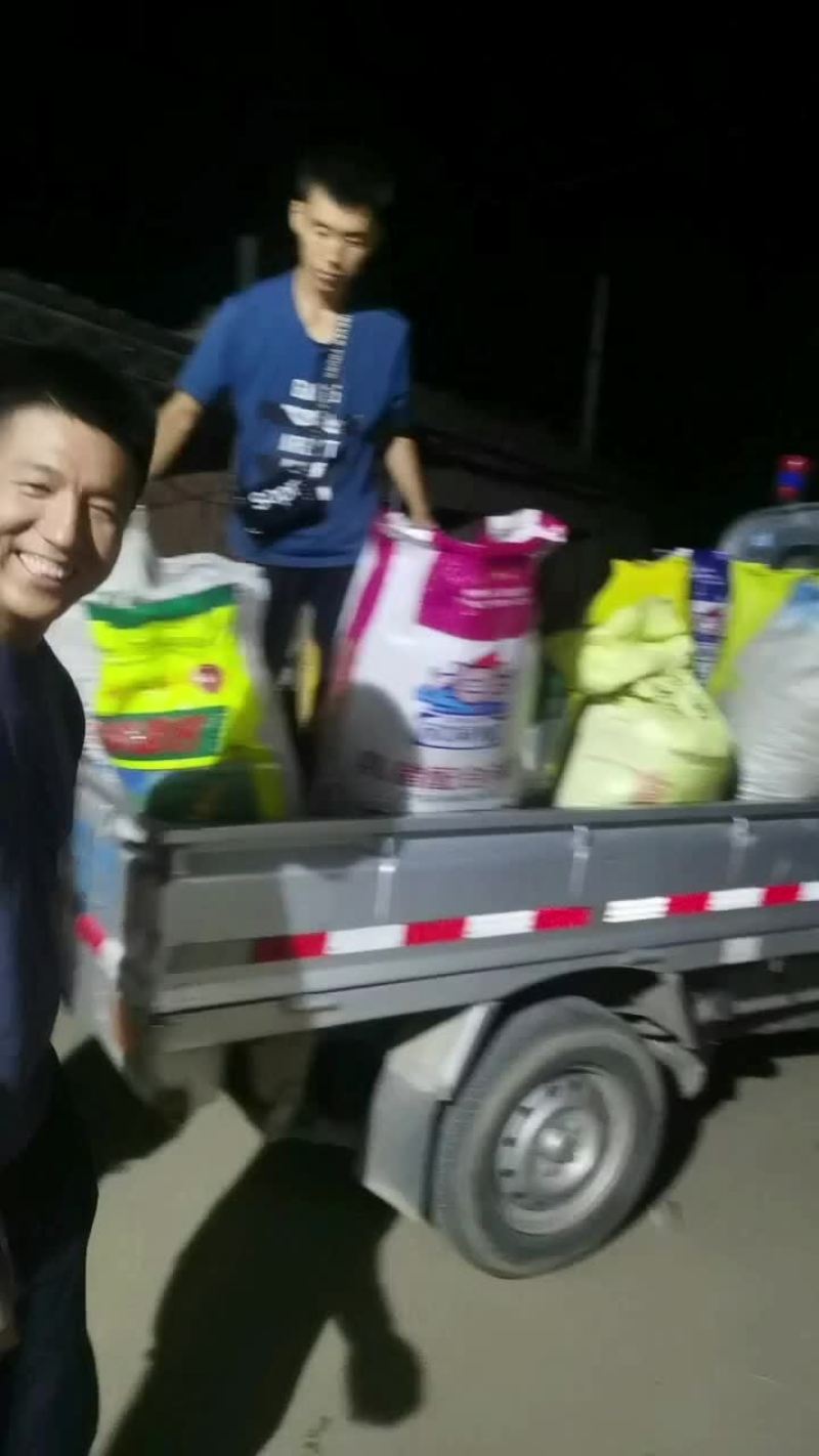 酸枣