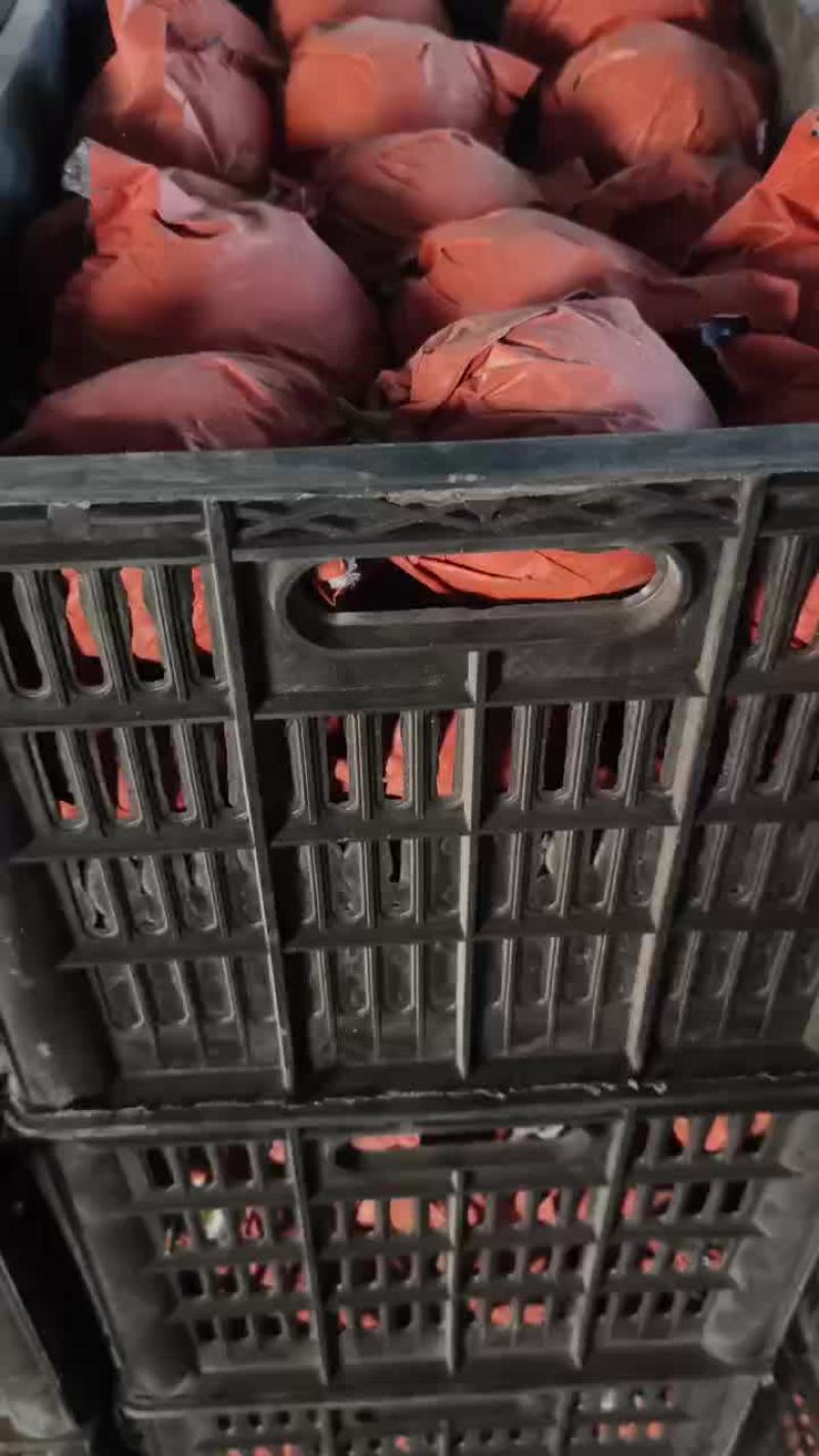 皇冠梨