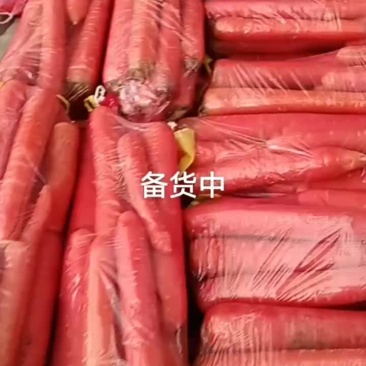 大荔精品小袋红萝卜