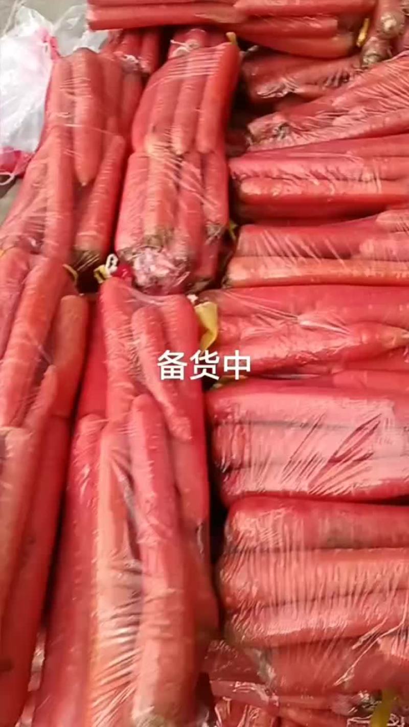 大荔精品小袋红萝卜