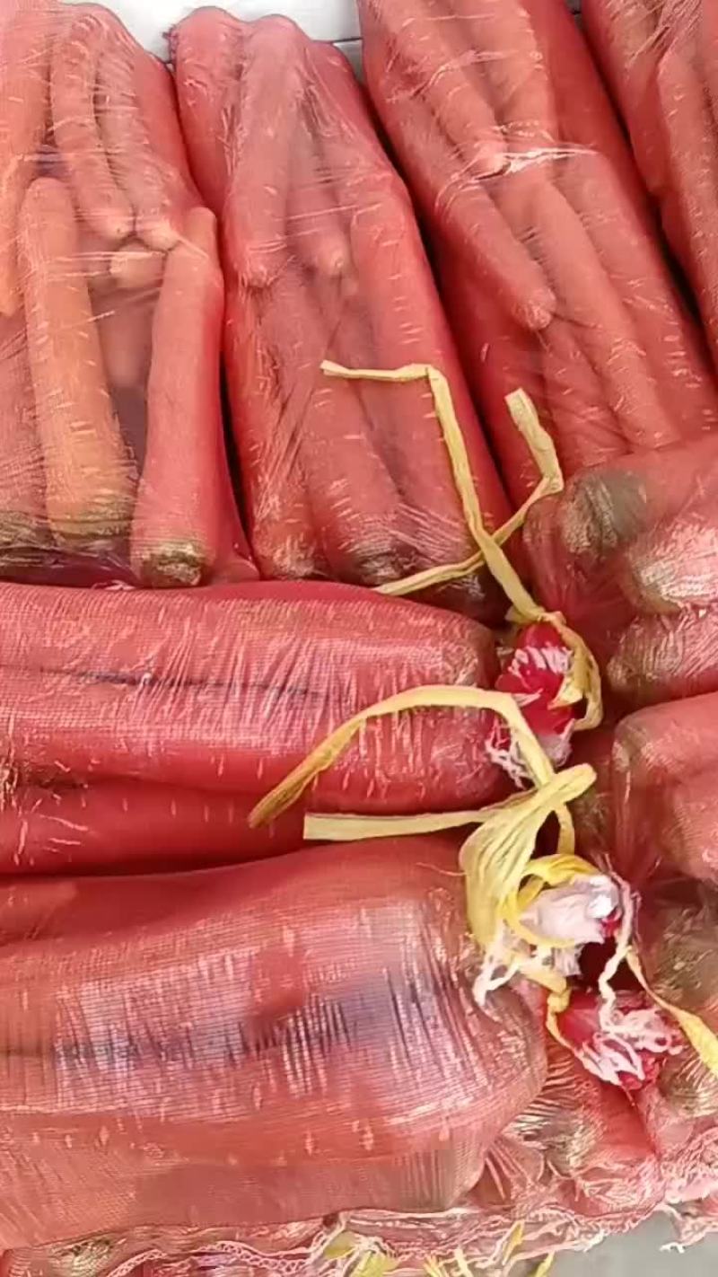大荔精品小袋红萝卜