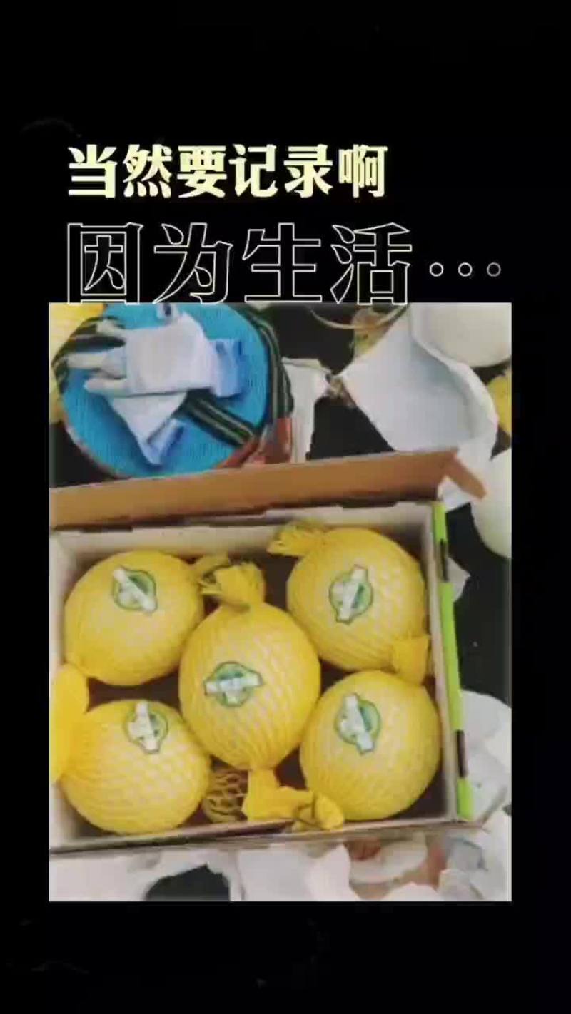 河北省衡水市饶阳县，现在，玉姑，甜瓜大量上市，有要的联系