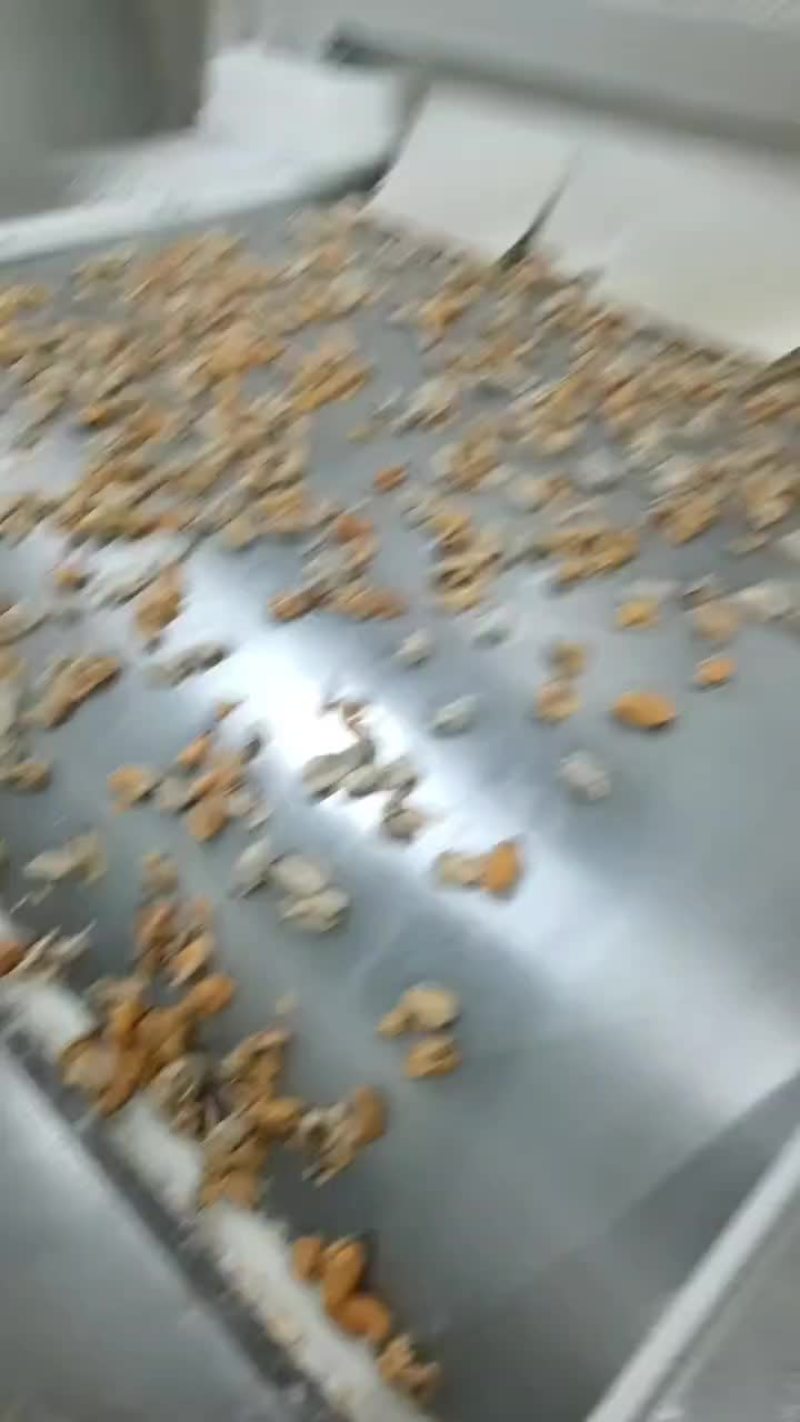 单冻贻贝肉