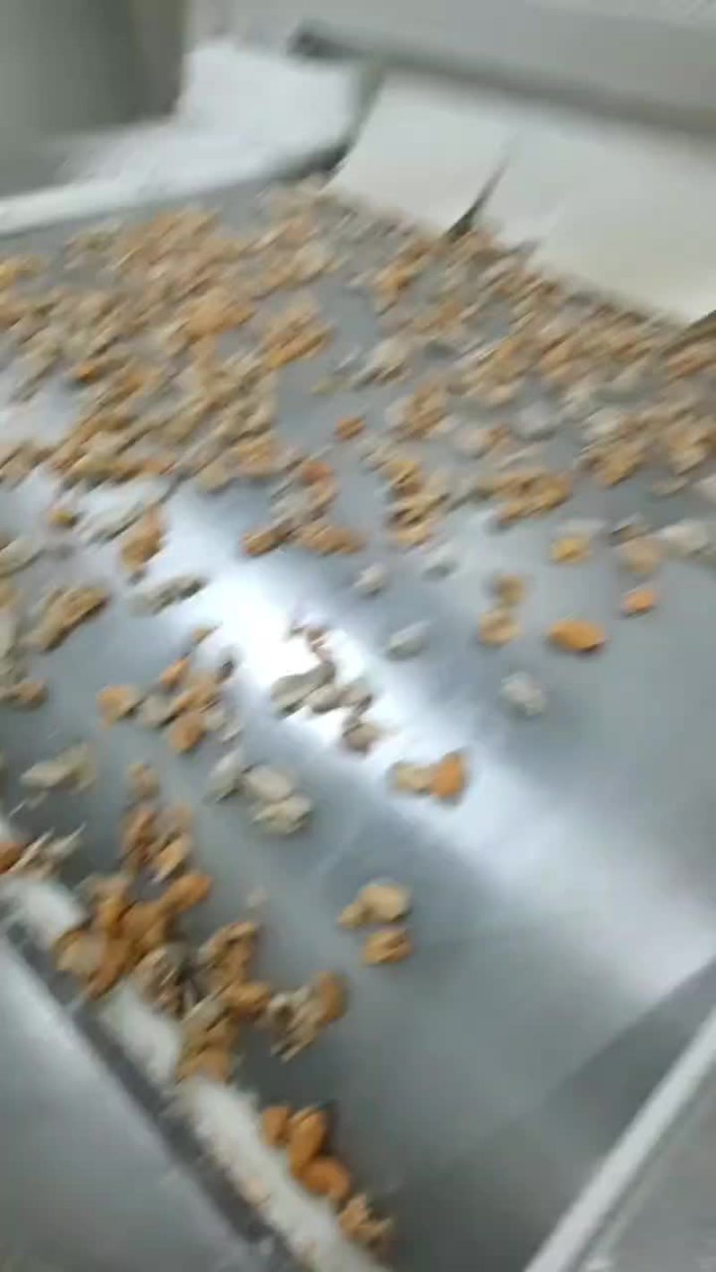 单冻贻贝肉
