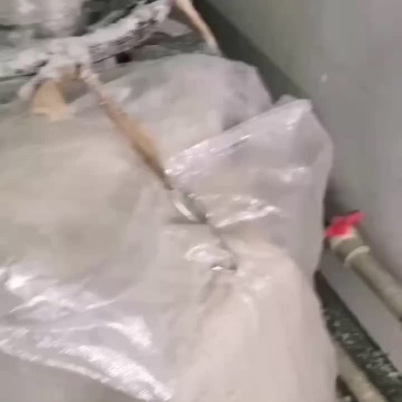 豆渣