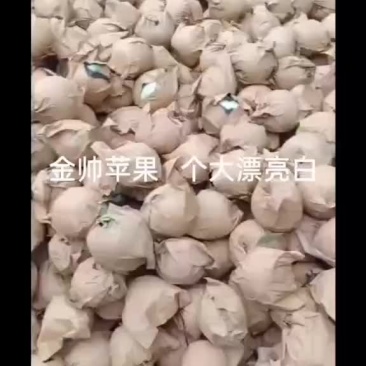 绥中黄元帅苹果