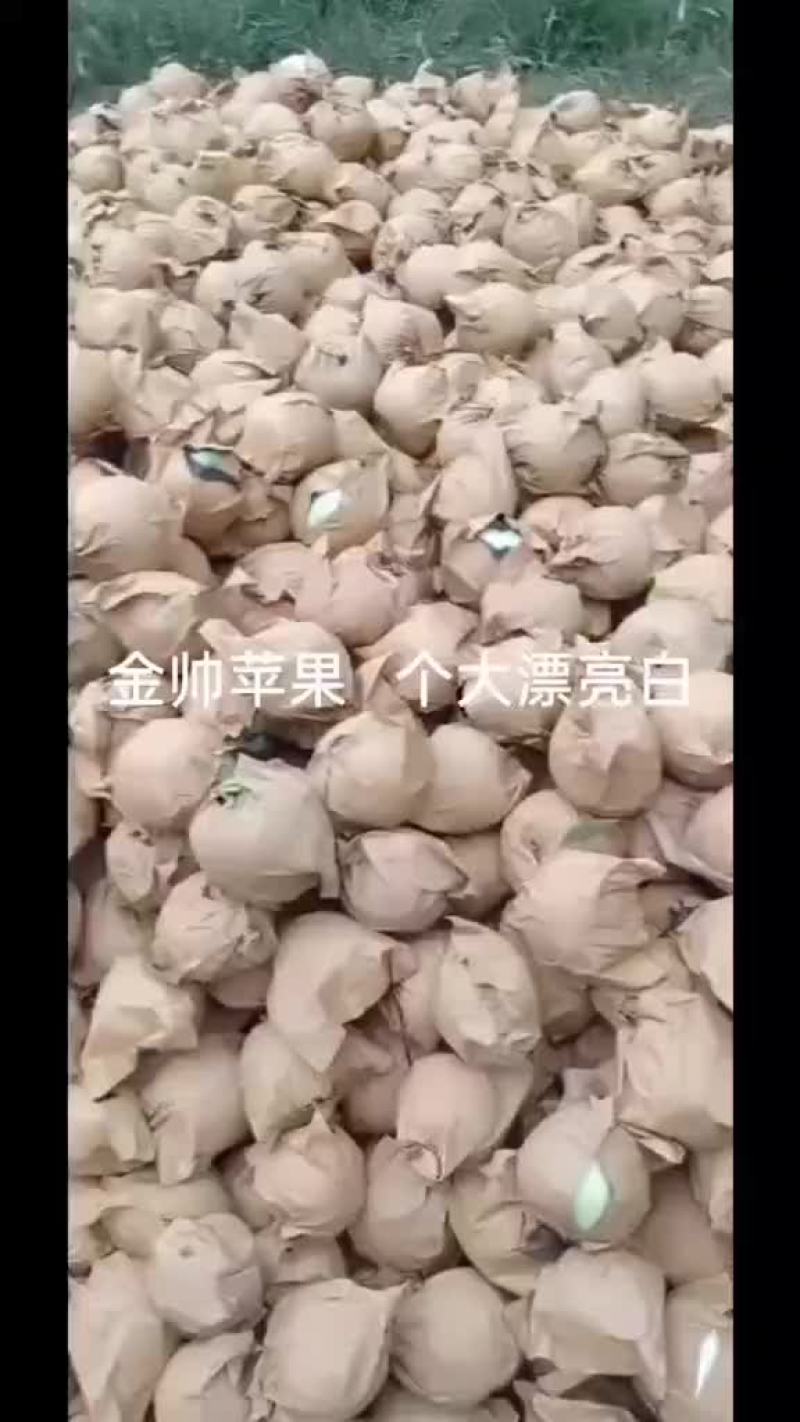 绥中黄元帅苹果