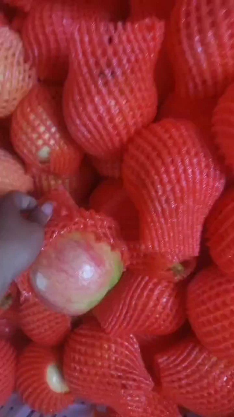 突尼斯软籽石榴