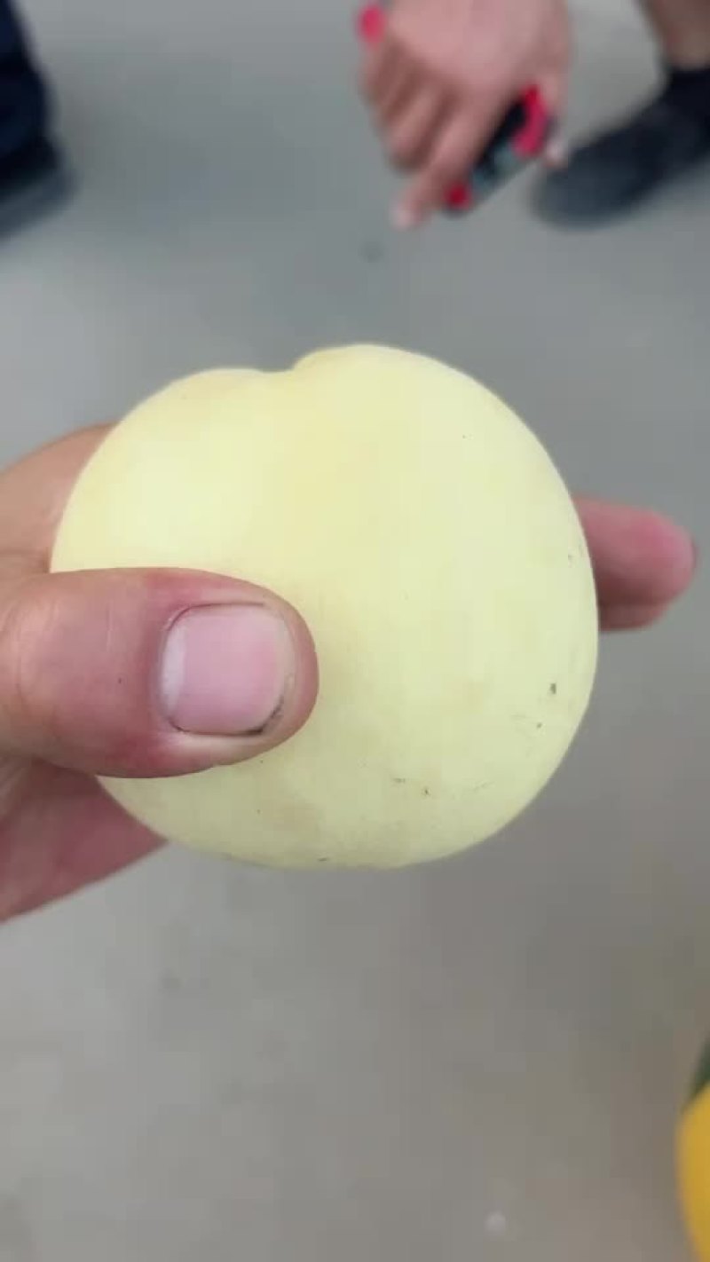 毛桃一个礼拜后上市