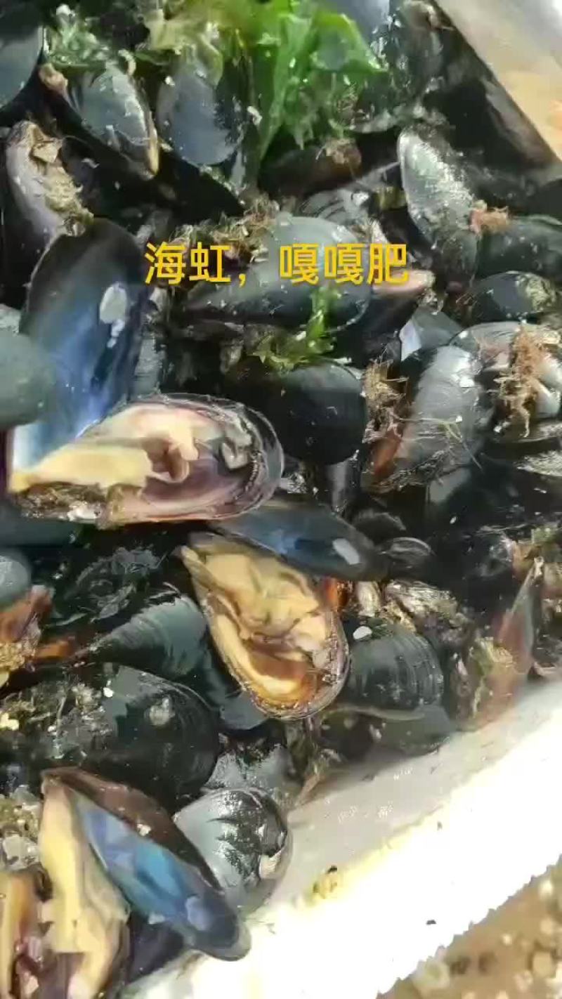海虹