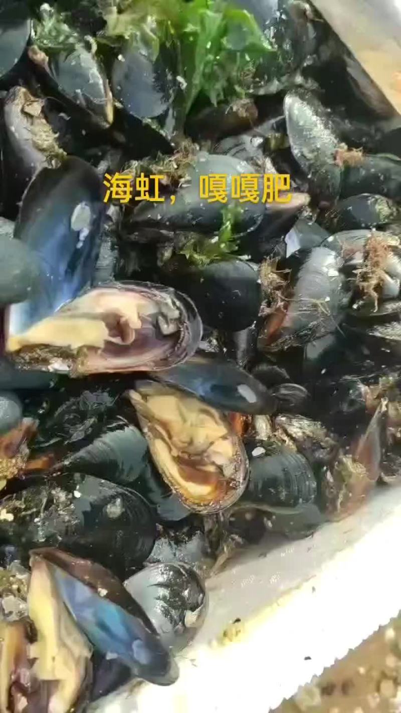 海虹