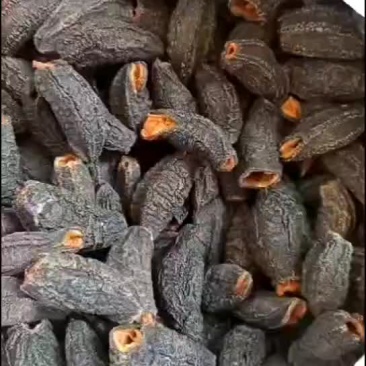 这一款北极参质量非常好