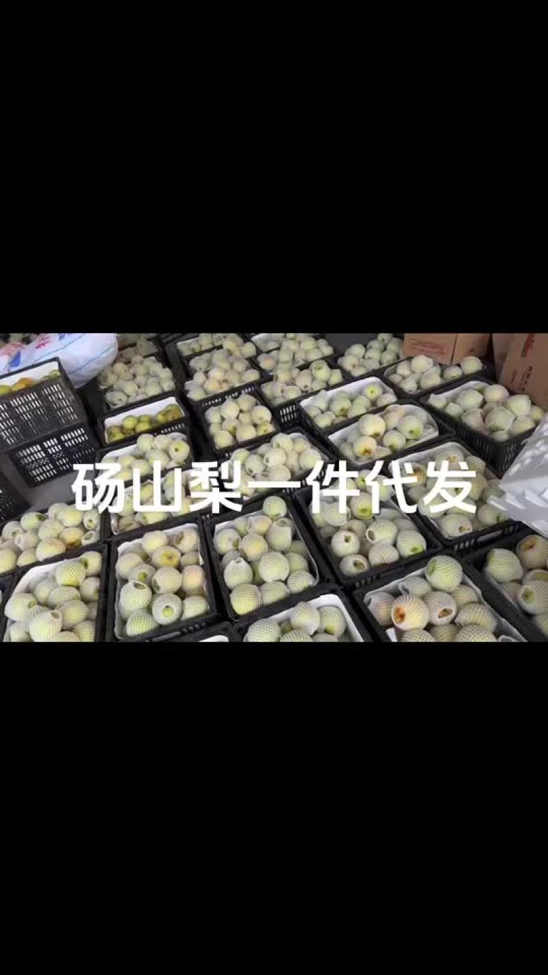 砀山梨一件代发社区团购平台各大电商对接