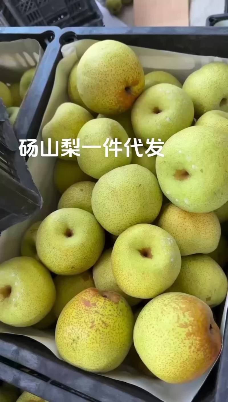 砀山梨一件代发社区团购平台各大电商对接