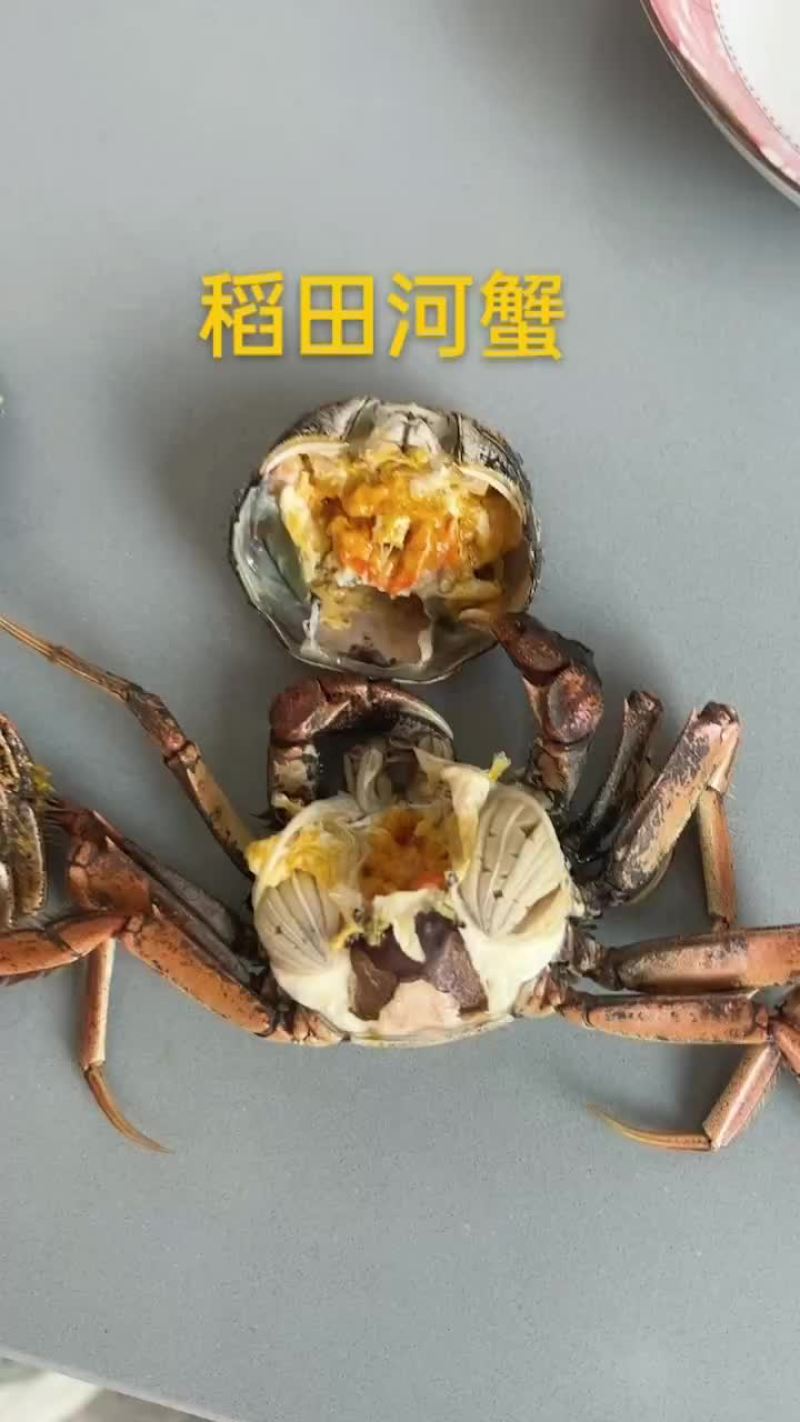 稻田河蟹
