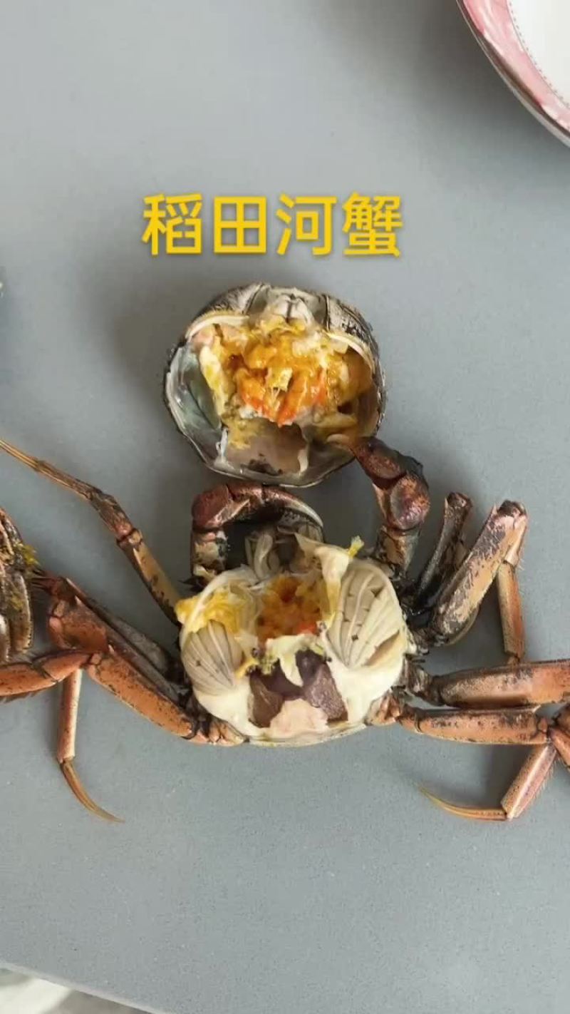 稻田河蟹