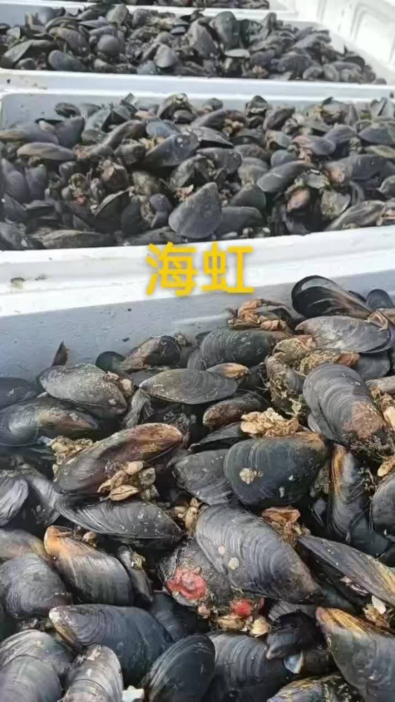 海虹