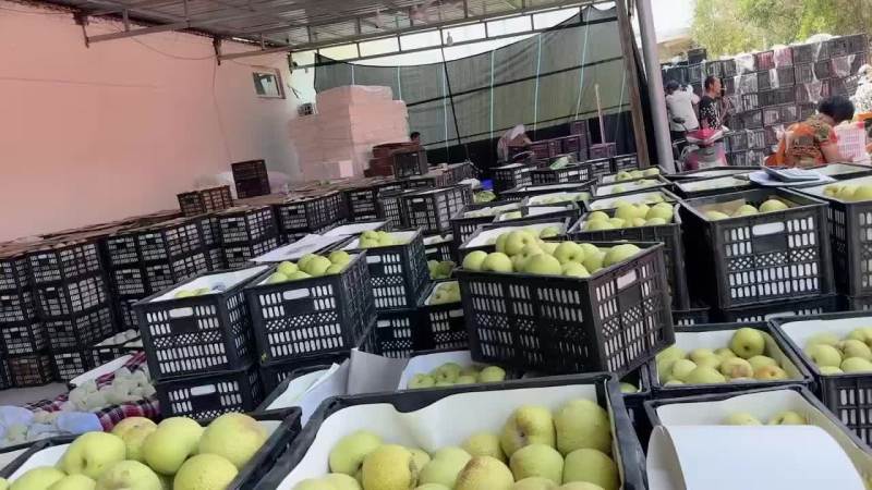 砀山梨社区团购一件代发支持一件代发