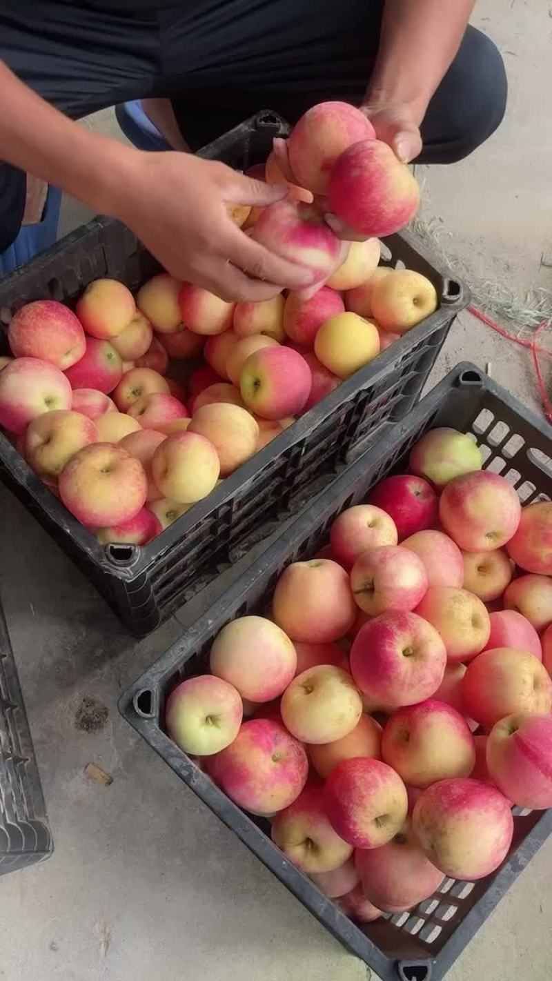 旮旯高次