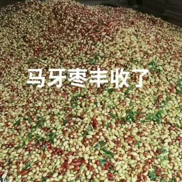 马牙枣，子弹头，菱枣