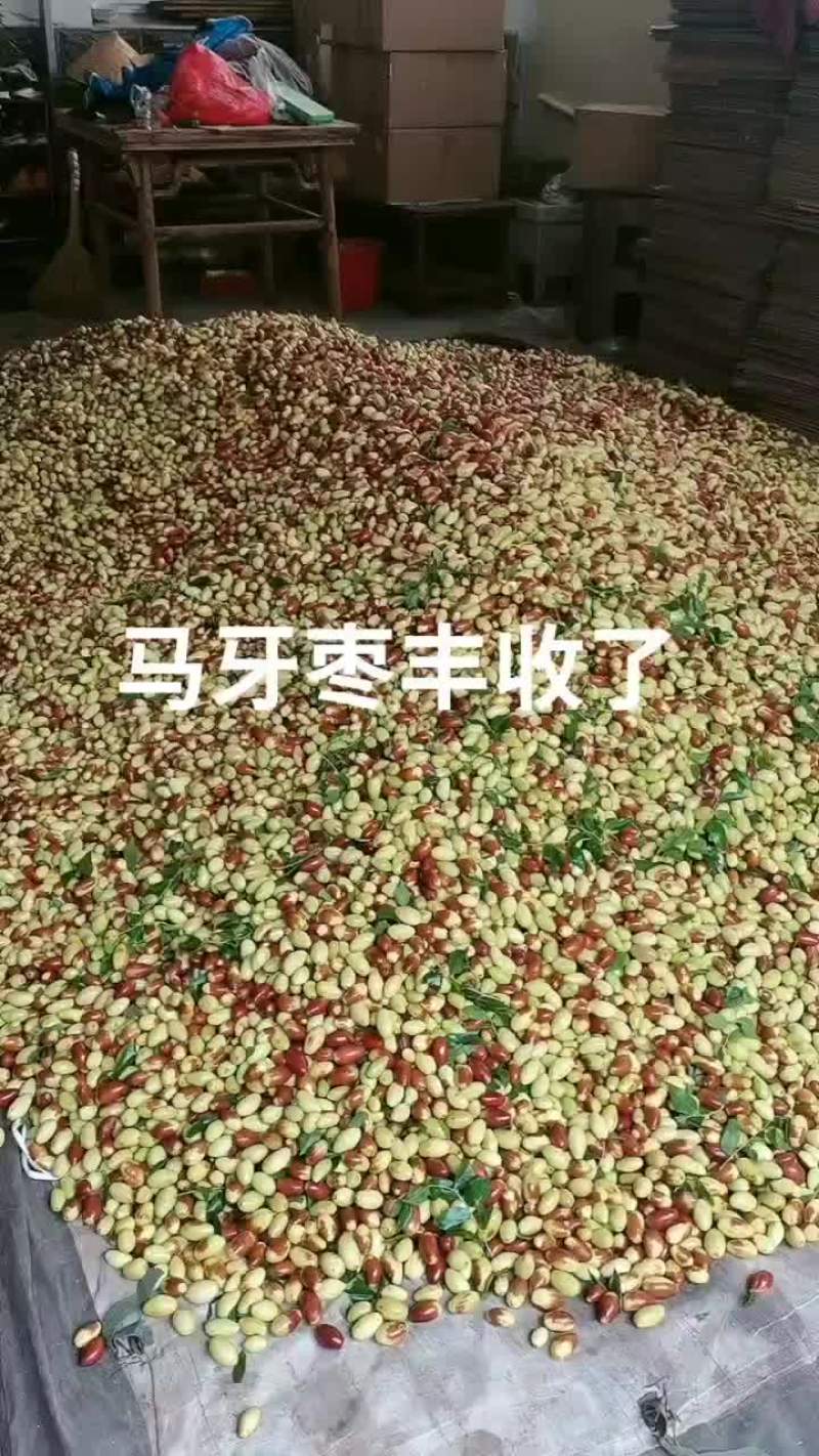 马牙枣，子弹头，菱枣