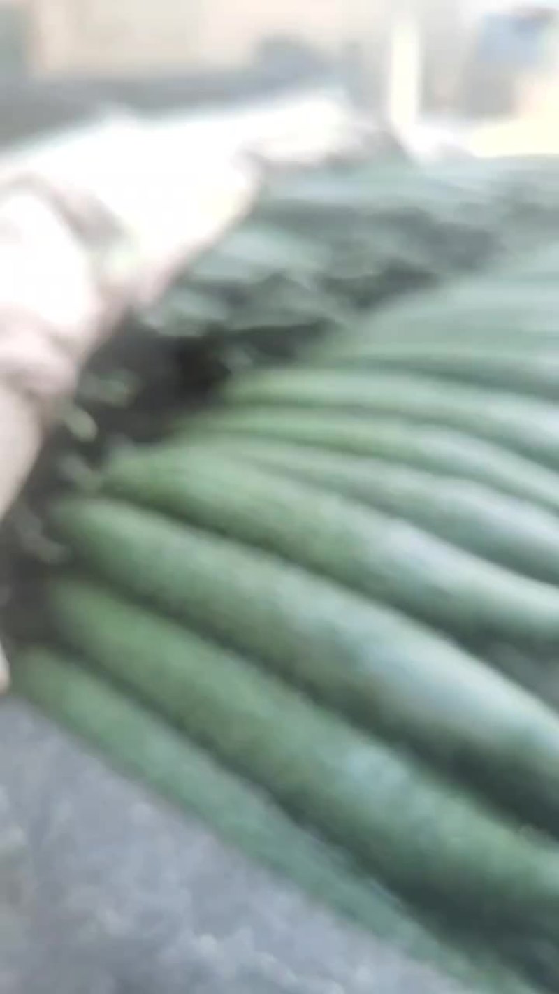 优质黄瓜