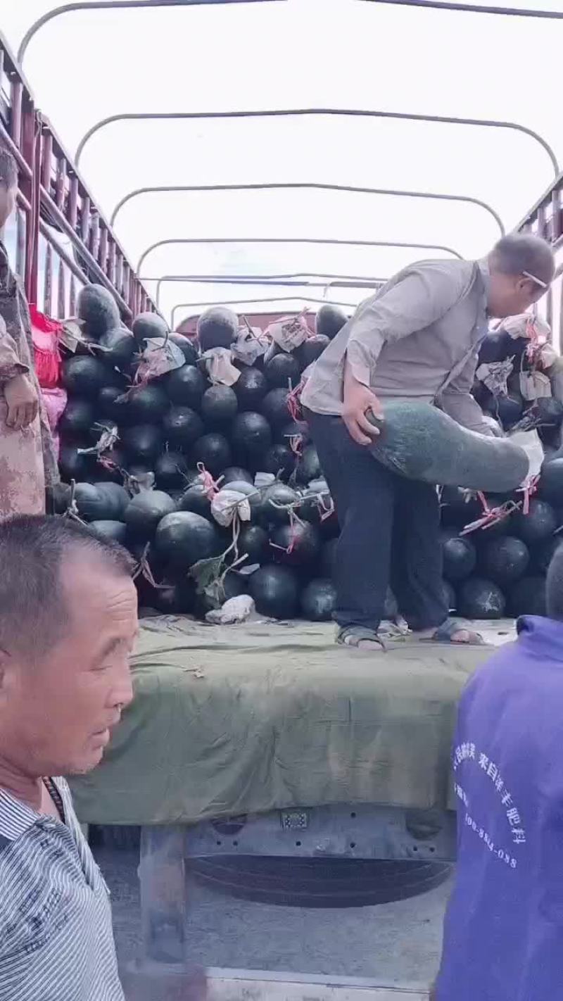 吊冬瓜还有大量的货