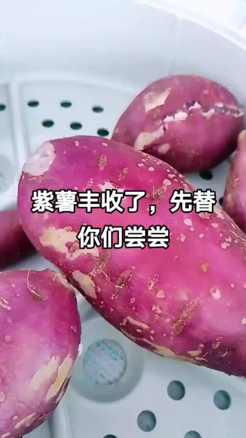 红薯，紫薯，蜜薯