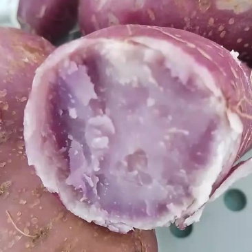 红薯，紫薯，蜜薯