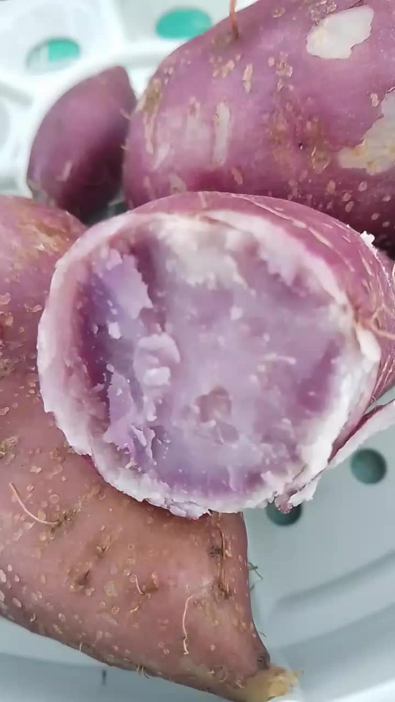 红薯，紫薯，蜜薯