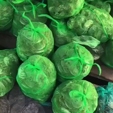 微山湖大闸蟹