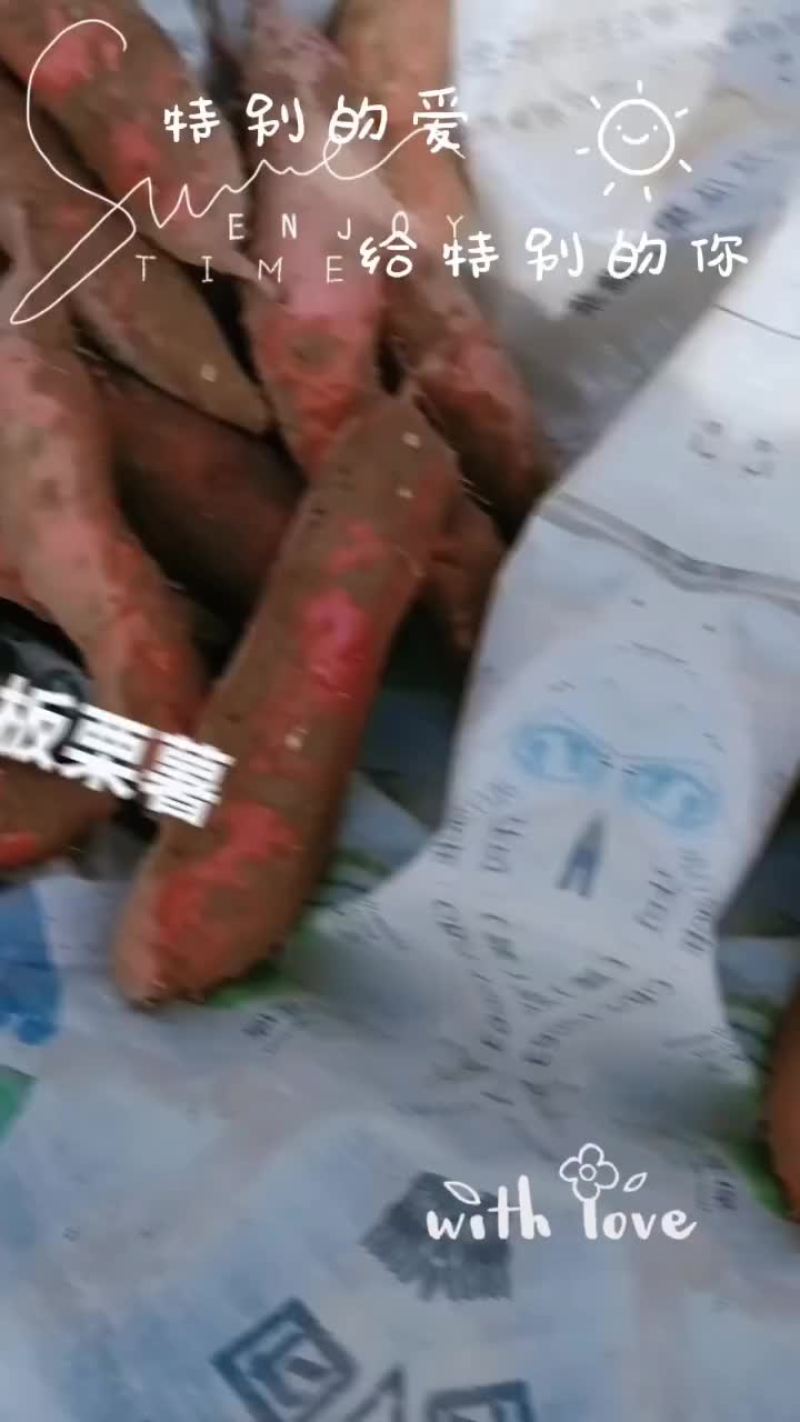 板栗红薯大量有货要的老板联系