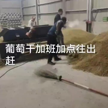葡萄干
