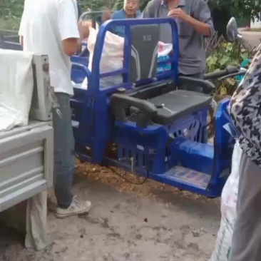 自然成熟的大枣，山坡地红粘土地口感脆甜