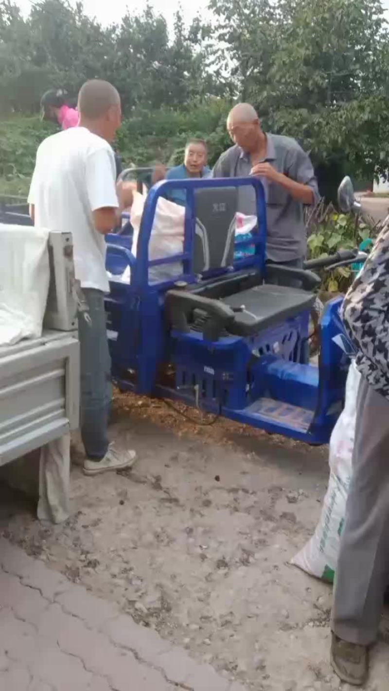 自然成熟的大枣，山坡地红粘土地口感脆甜