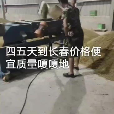 吐鲁番葡萄干一手货