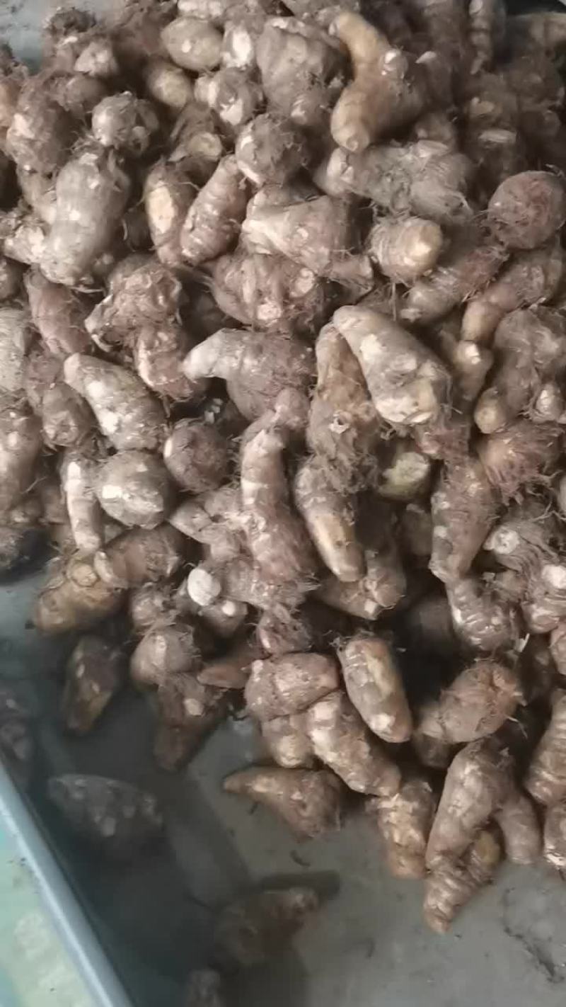 山东牛奶芋头一件代发