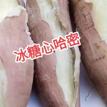 冰糖心哈密薯