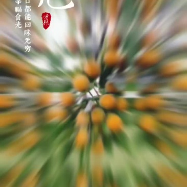 吊红柿子