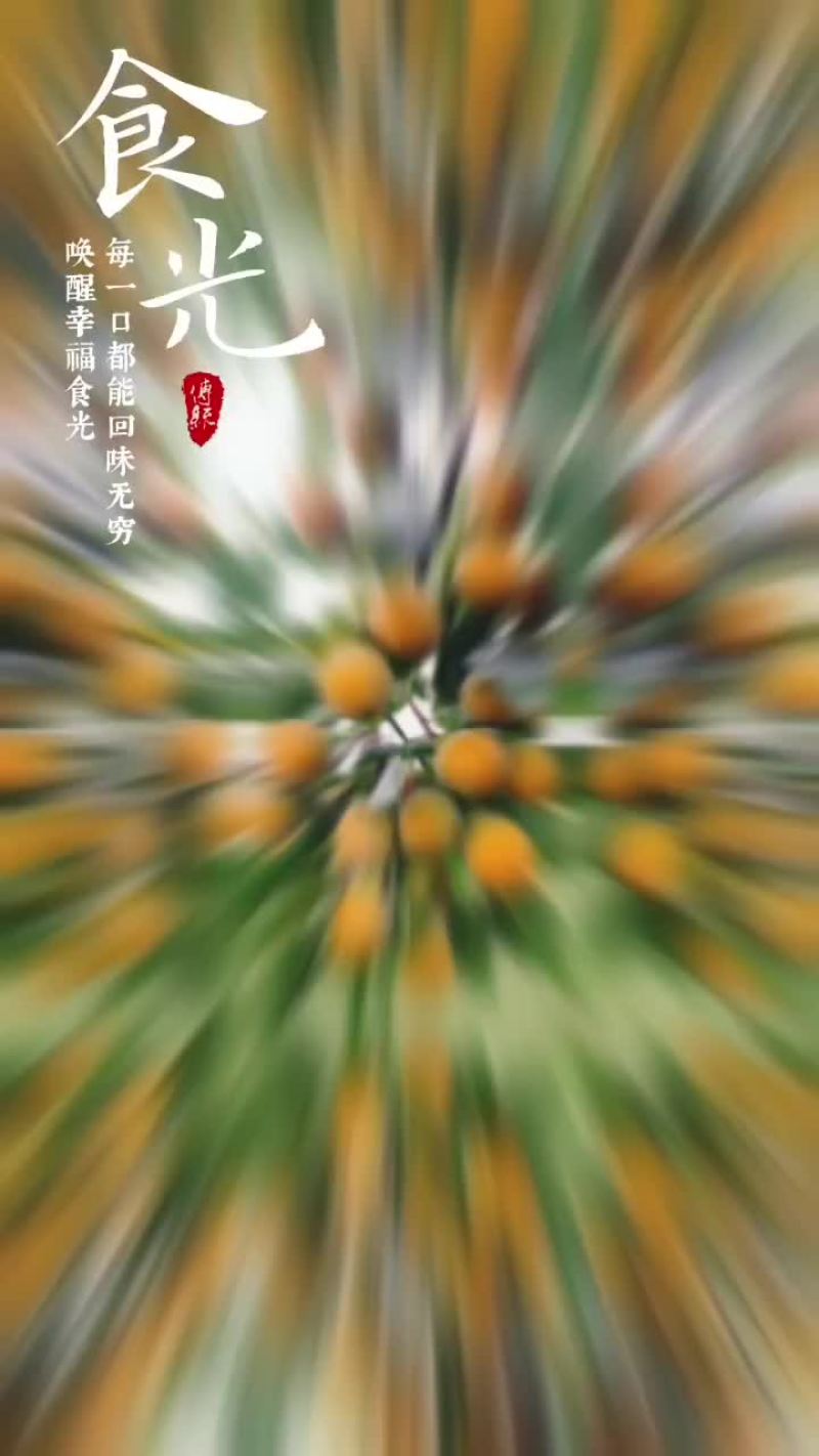 吊红柿子