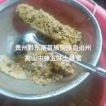 中蜂蜂蜜