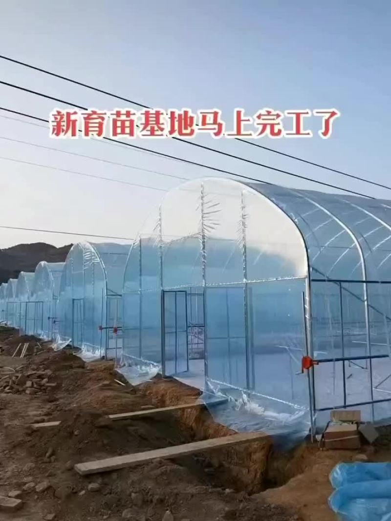 育苗大棚