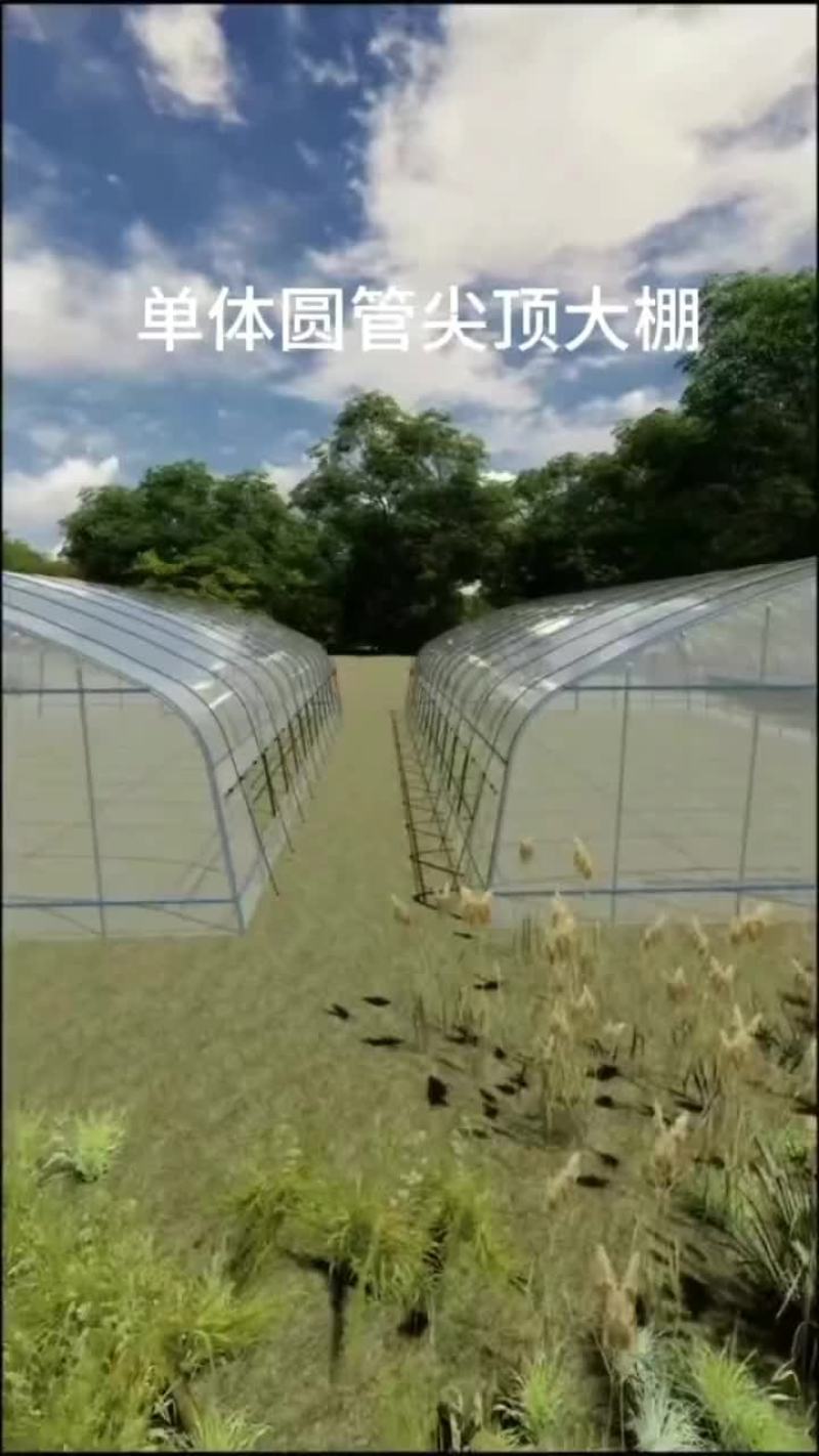 育苗大棚